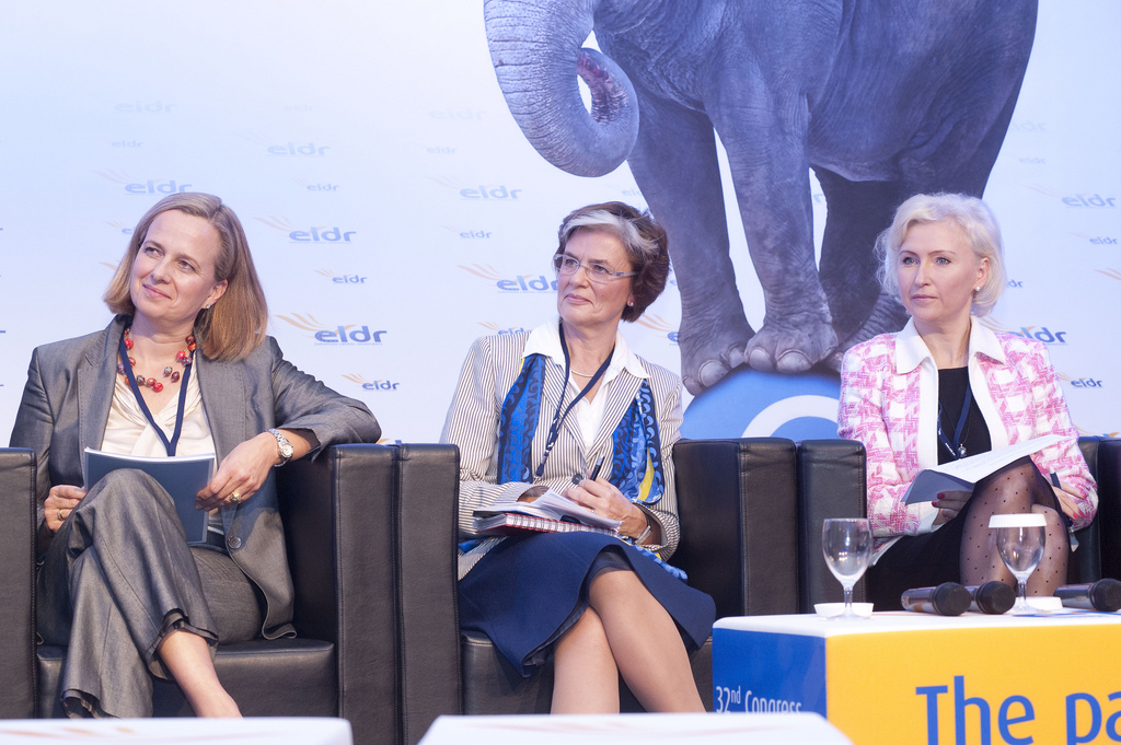 eldr_20111124.jpg